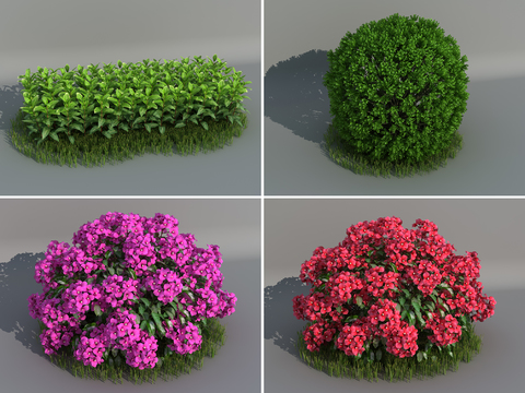 modern shrub-flower assemblage