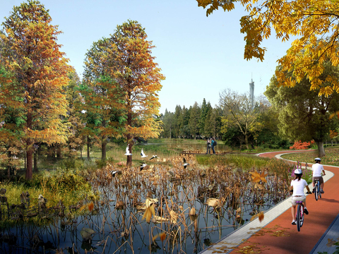 modern wetland landscape psd