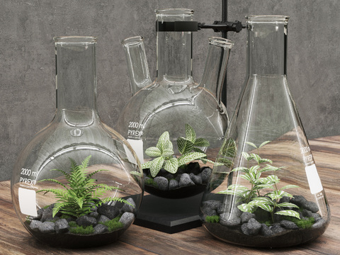 Modern Green Plant Glass Bottle Ornaments