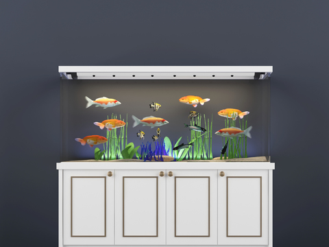 Modern fish tank