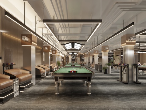 Modern Billiard Room Hall Entertainment Place