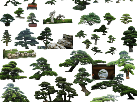 modern green trees rockery stone psd