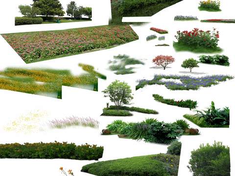 modern landscape tree flower lawn shrub psd