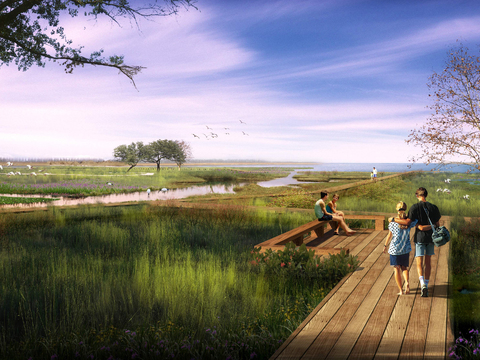 modern wetland garden bridge landscape psd