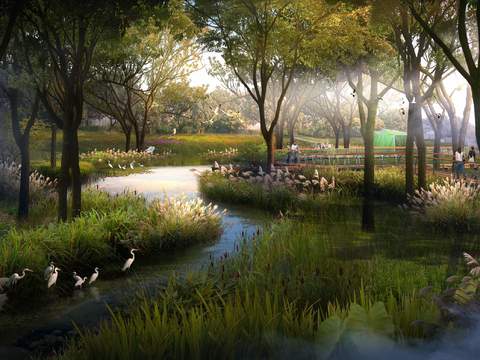 modern wetland landscape psd