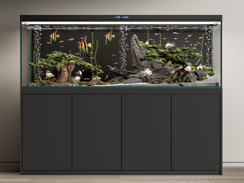 Fish tank aquarium