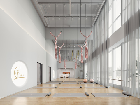 Modern Yoga Studio Practice Room Dance Room Gym