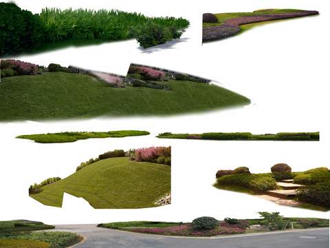 modern bush green plant grass dam psd