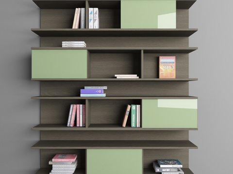 Modern Wall Cabinet Bookshelf