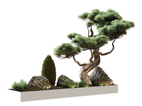 Modern pine mountain stone gardening sketch