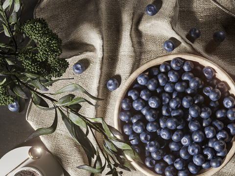 Modern Fruit Plate Blueberry