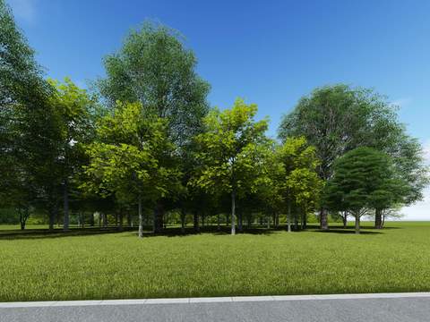 modern lawn big tree trees landscape tree psd