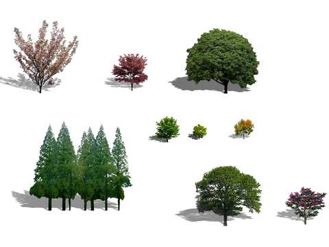 modern big tree tree landscape tree psd