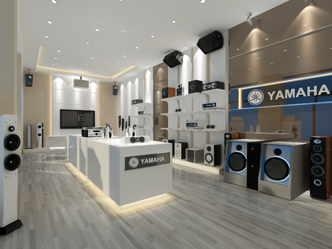 Modern Audio Equipment Store