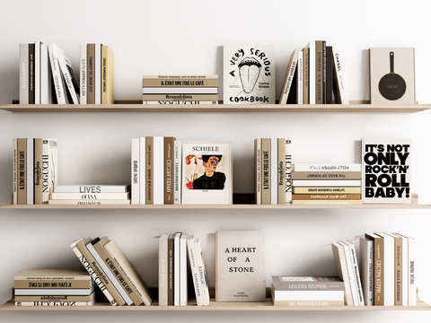 Wall-Mounted Bookshelf Books Books