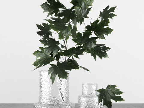 Modern Minimalist Glass Vase Green Plant Free