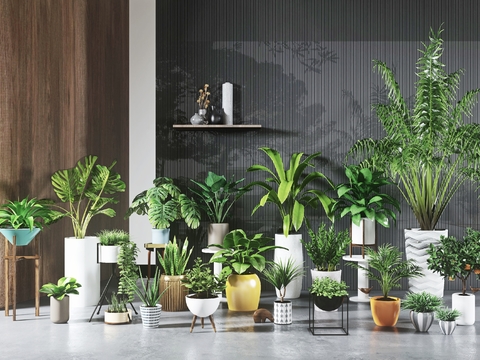 Modern potted plant combination