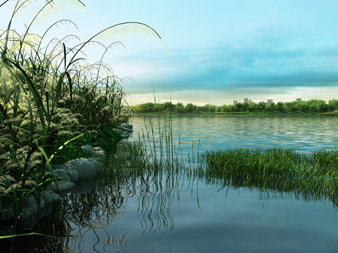 Landscape of Modern Wetland Park