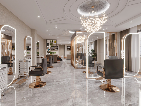 Modern Affordable Luxury Style Hair Shop