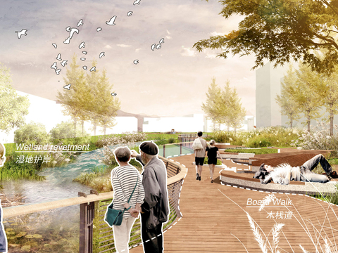 modern wetland agriculture garden psd