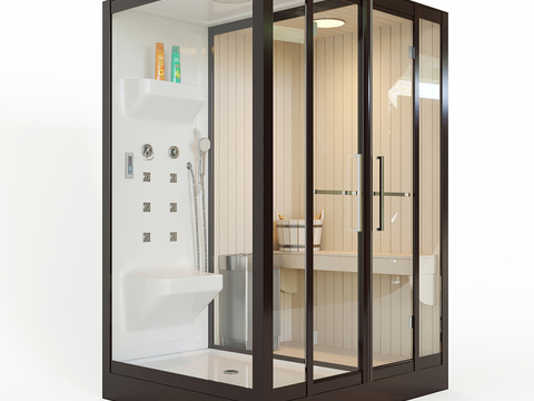 Modern shower room steam room sauna room