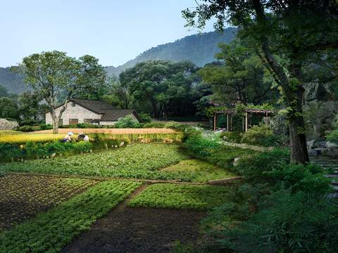 chinese vegetable plot landscape psd