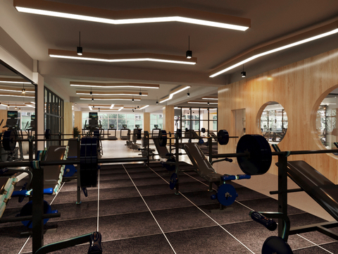 Modern gym free