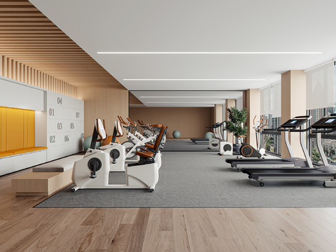 Modern Gym