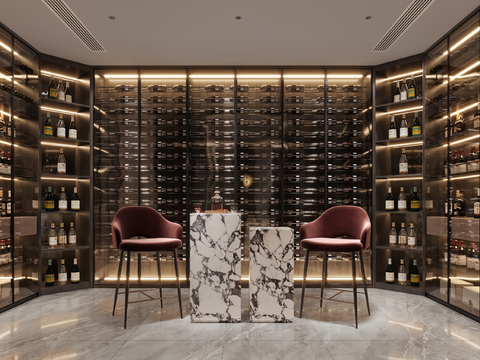 Modern Wine Cellar Wine Room Wine Storage Room