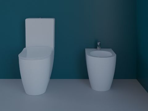 Modern toilet free