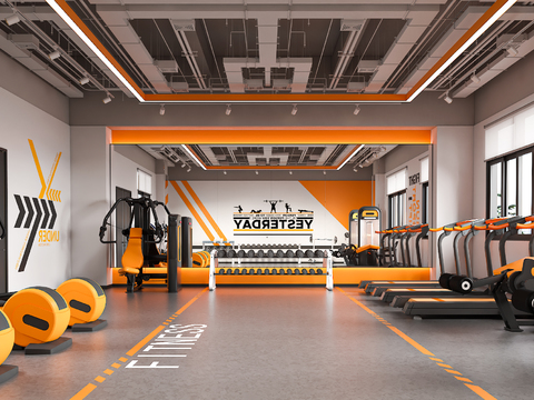 Modern Gym