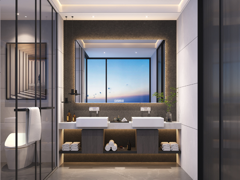 Modern Affordable Luxury Style Hotel Toilet