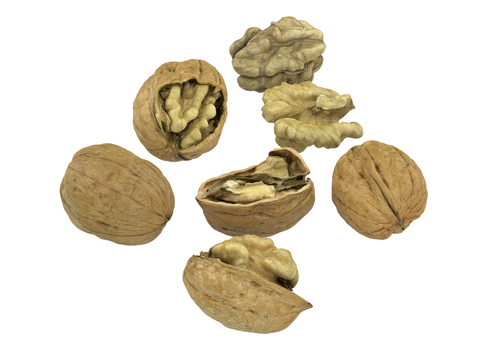 Walnut Dried Fruit Food