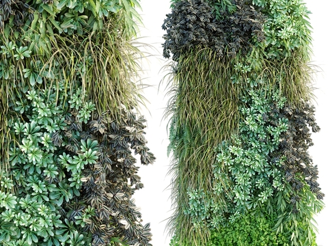 modern plant wall green plant wall