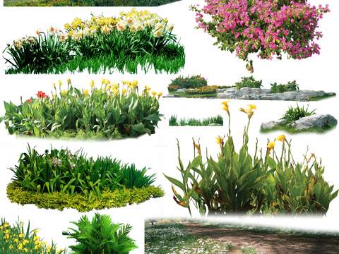 modern green plant flowers bushes psd