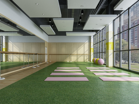 modern gym Yoga Studio free