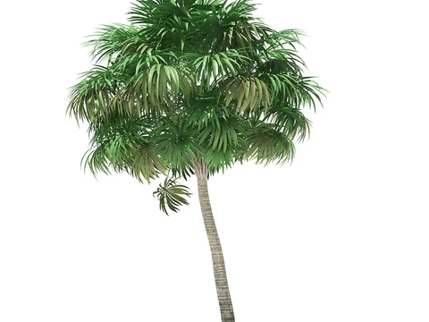 Modern thatched palm tree free