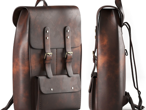 Modern Leather Backpack