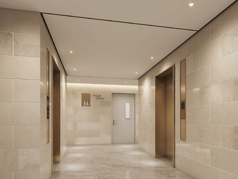 Modern Affordable Luxury Style Elevator Hall