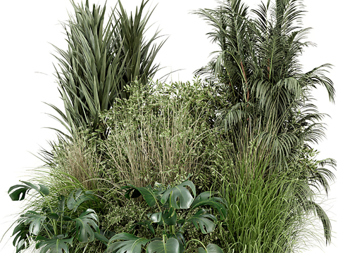 bush plant pile