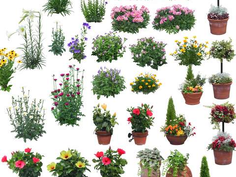 modern flowers and plants green plant potted bushes psd