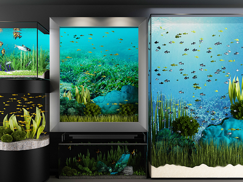 Modern fish tank aquarium