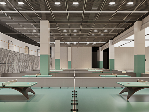 Table Tennis Gymnasium