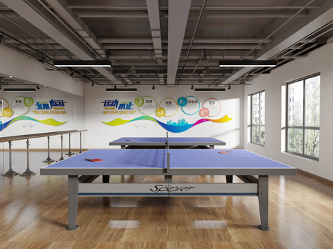 Modern Table Tennis Activity Room