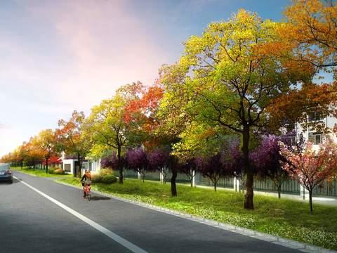 urban road green belt psd