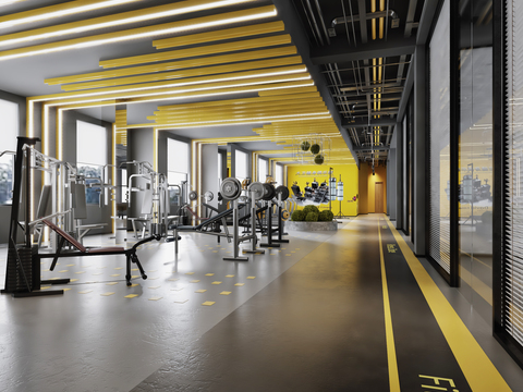 Modern Gym Hall