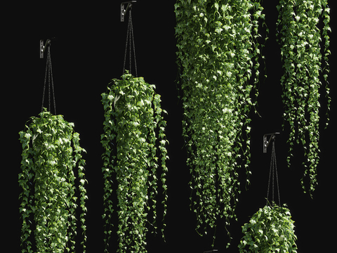 Modern hanging plant potted