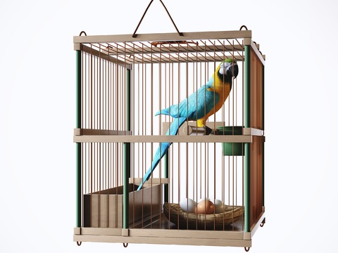 Modern Bird Cage Parrot