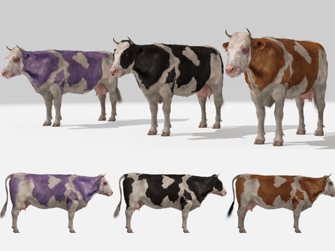 Modern Cow Combinations