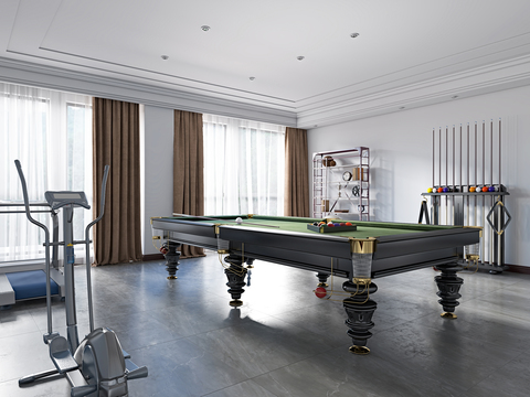 Modern billiard room fitness room